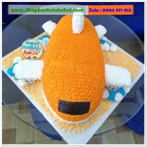 Bánh Sinh Nhật Máy Bay - MA41